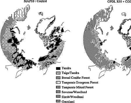 arctic tundra map black and white