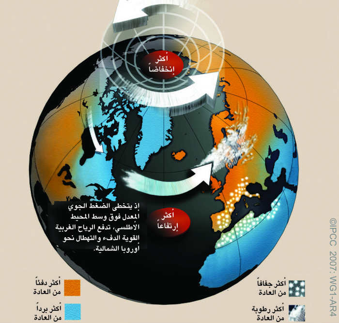 الإطار 2. الرسم 1