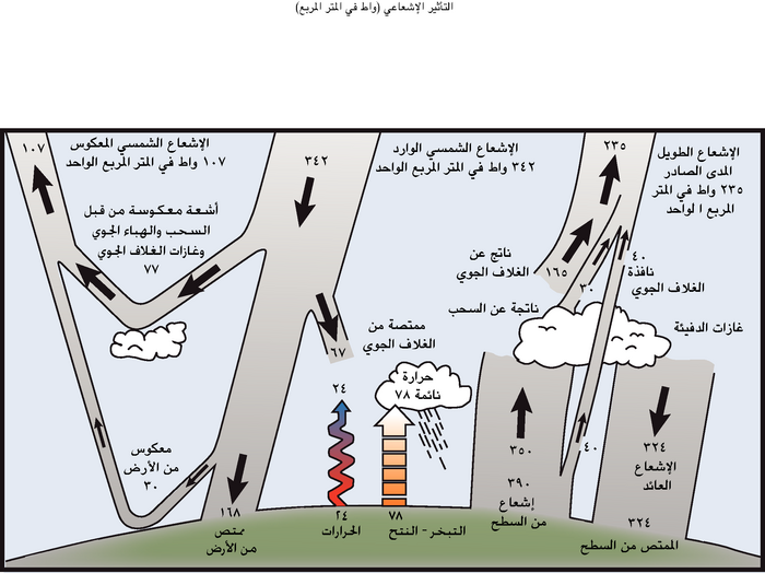 السؤال 1-1 الرسم 1