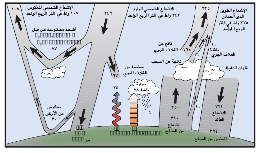 السؤال 1-1 الرسم 1