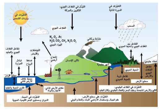 السؤال 1-2  الرسم 1