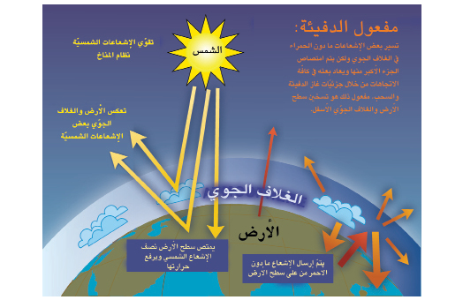 السؤال 1-3، الرسم 1