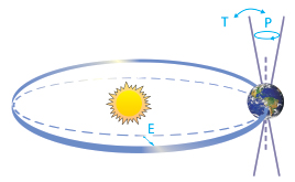 السؤال 6-1  الرسم 1