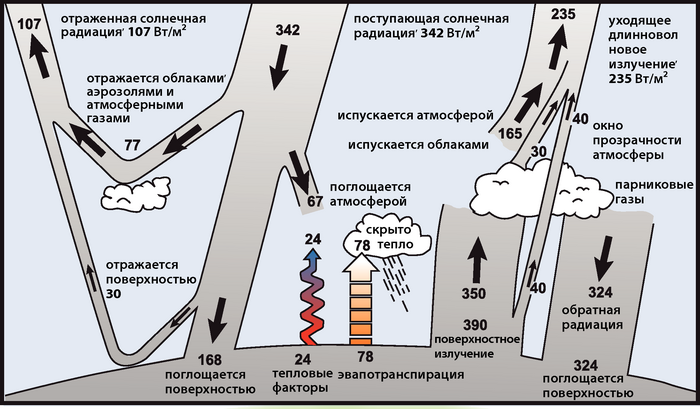 ЧЗВ 1.1 рис. 1