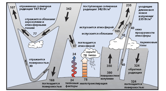 ЧЗВ 1.1 рис. 1
