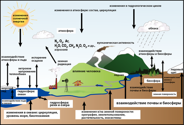 ЧЗВ 1.2 рис. 1